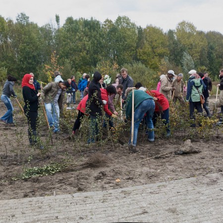 planten van 1000 boompjes